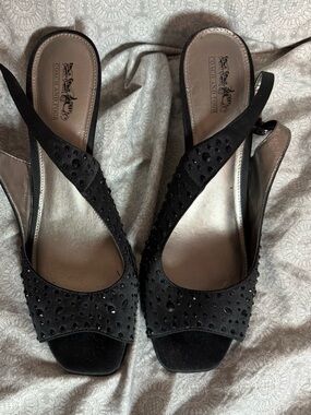 Coach and Four Metallic Silver with Black Trim